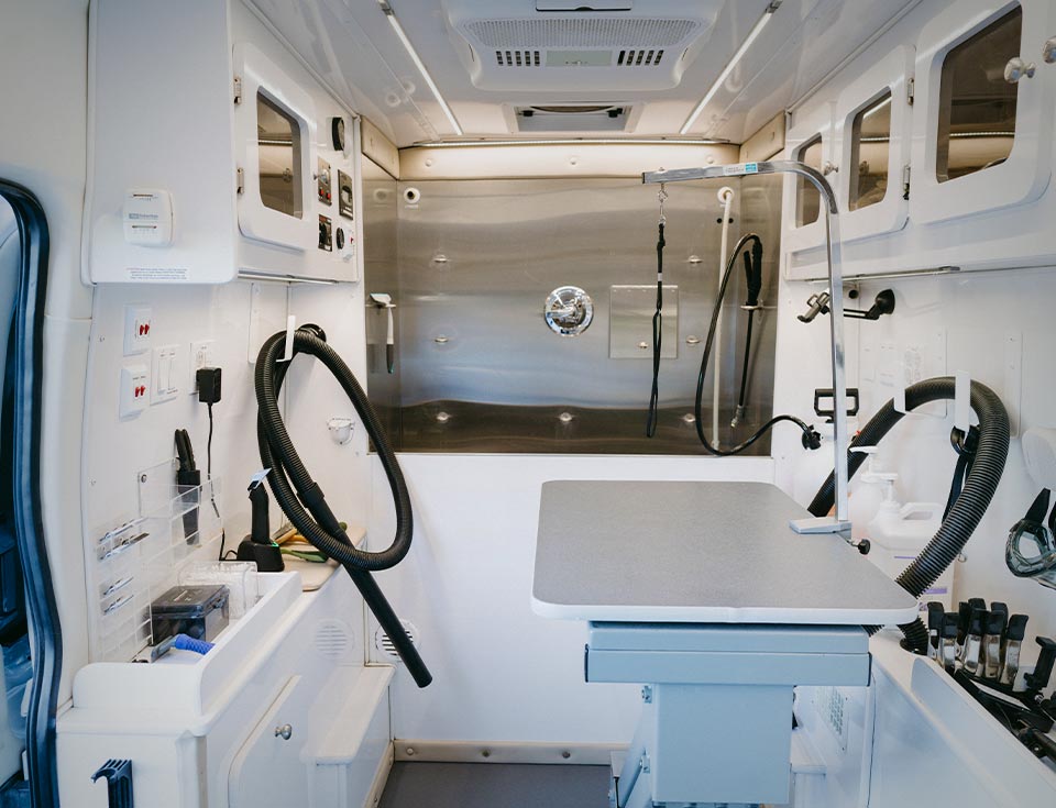 Mobile Dog Grooming & Trusted Groomers Near You | 4.8★ Rated