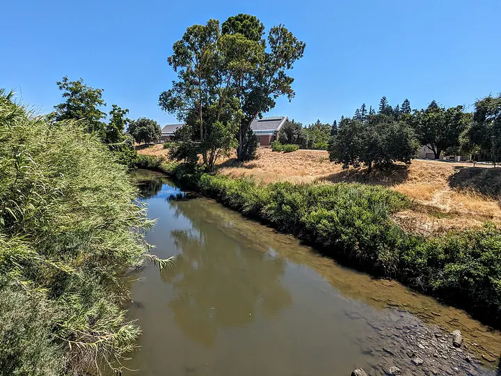 The Calaveras River at University of the Pacific, Stockton
