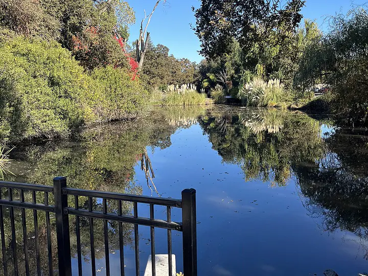 Fivemile Creek, northwest Stockton