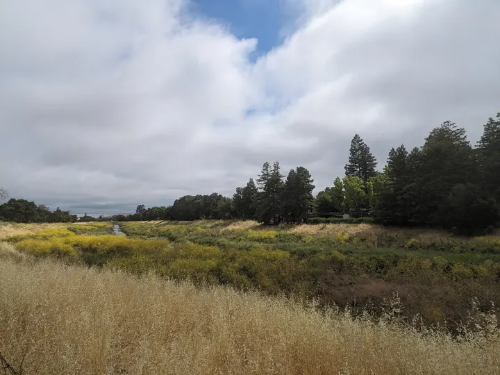 The Iron Horse Trail in Concord