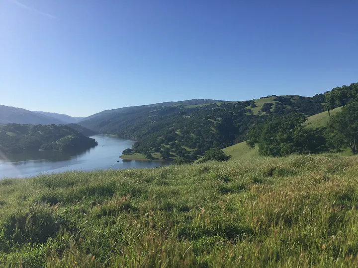 Lake Del Valle in spring, Livermore