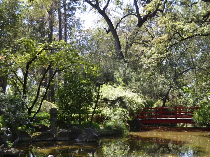 The Japanese Garden at Micke Grove, Lodi