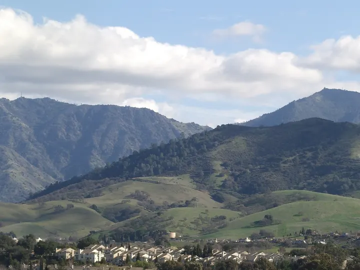 Mount Diablo from Newhall Park, Concord