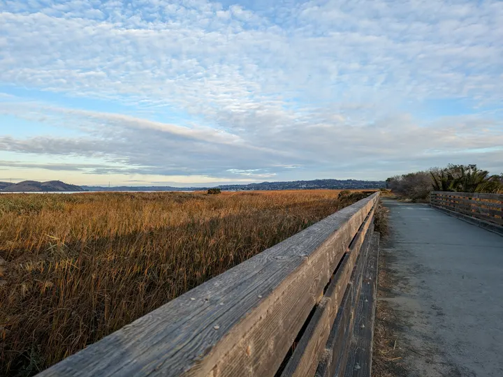 The marsh walk at Radke Shoreline, Martinez