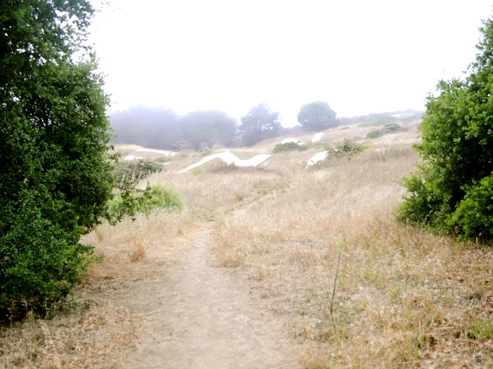 Sign Hill Park, South San Francisco