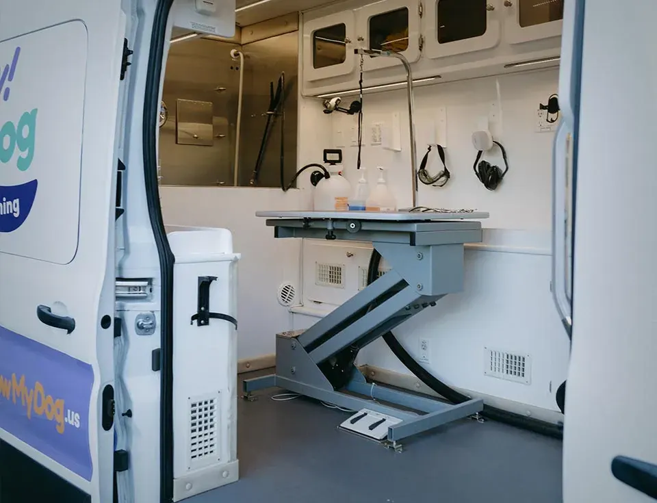 The van's back doors open on the electric lift table